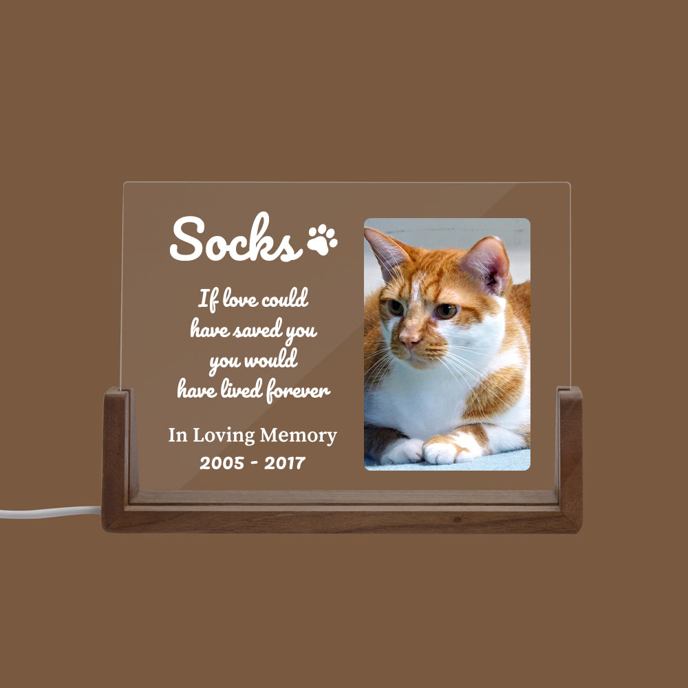 Pet LED Acrylic Plaque with Photo