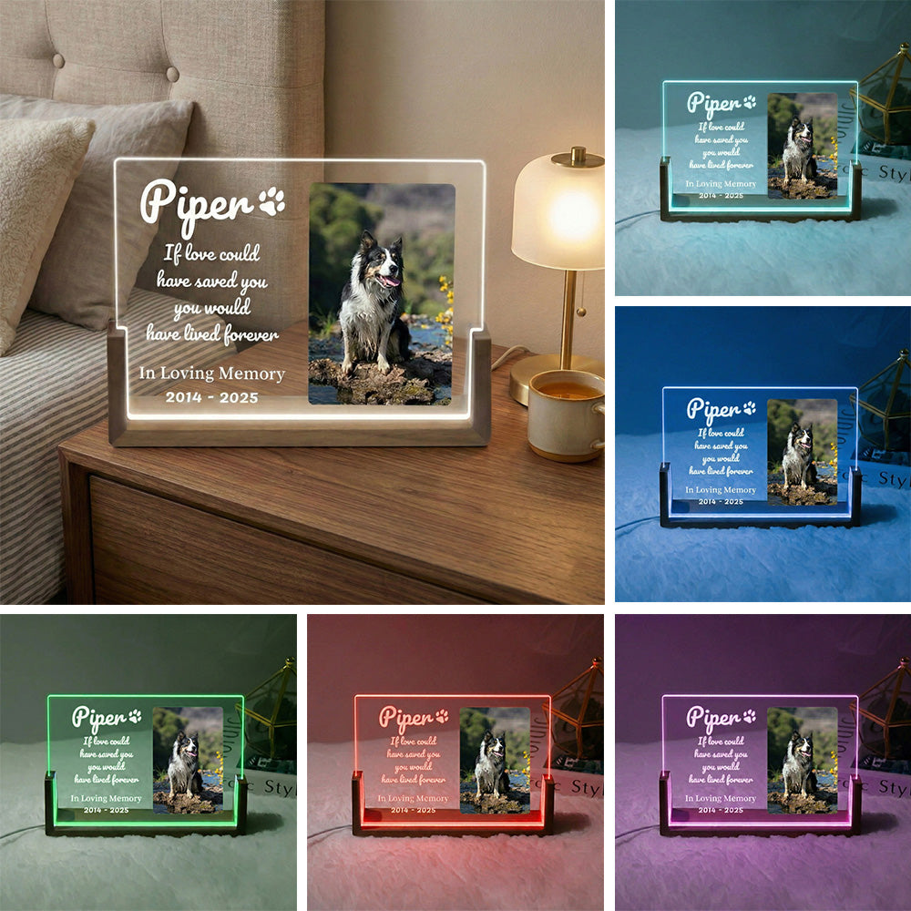 Pet LED Acrylic Plaque with Photo