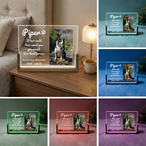 Pet LED Acrylic Plaque with Photo