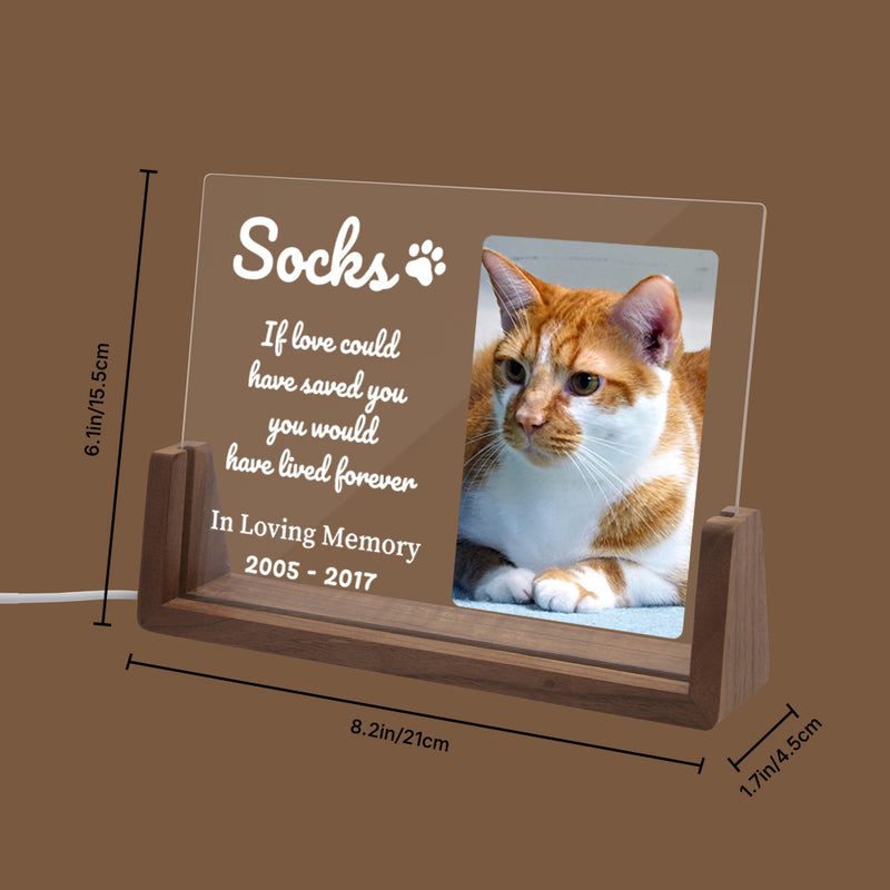 Pet LED Acrylic Plaque with Photo