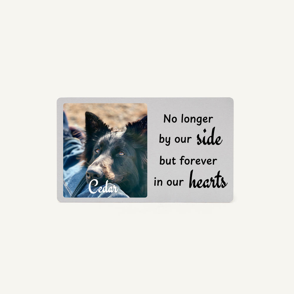 Pet Loss Memorial Photo Card