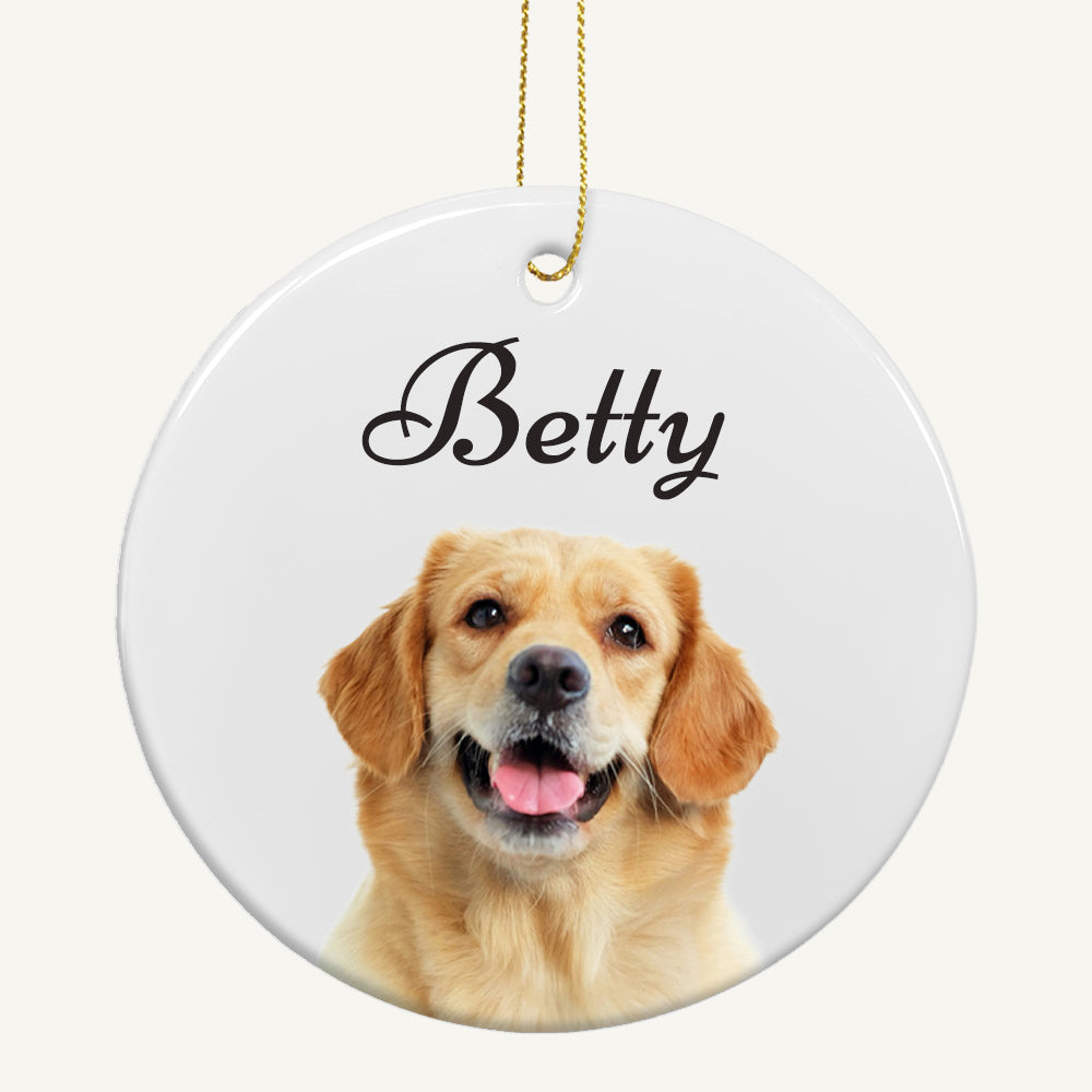 Pet Memorial Ornament Gift