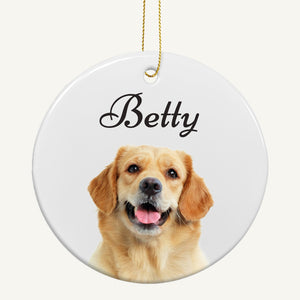 Pet Memorial Ornament Gift