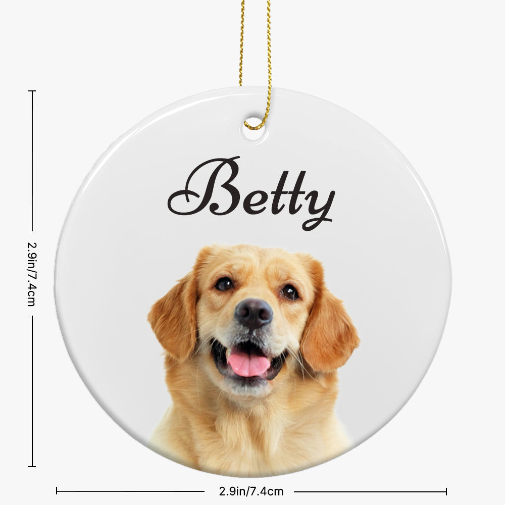 Pet Memorial Ornament Gift