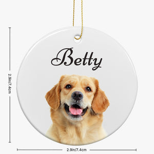 Pet Memorial Ornament Gift