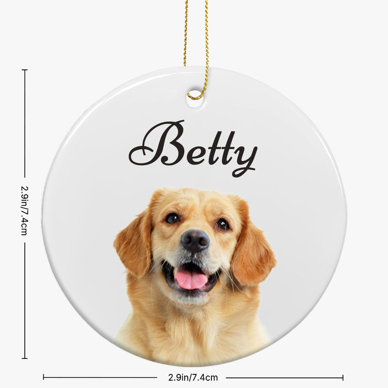Pet Memorial Ornament Gift