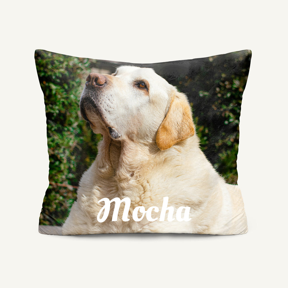 Pet Memorial Pillow with Photo
