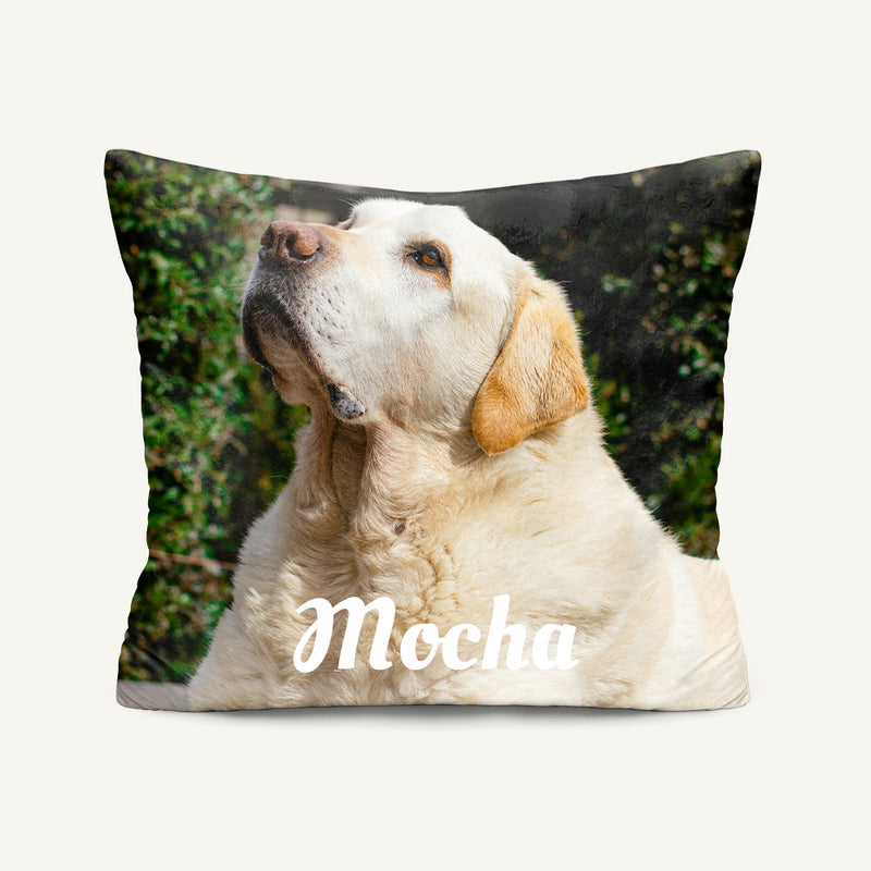Pet Memorial Pillow with Photo