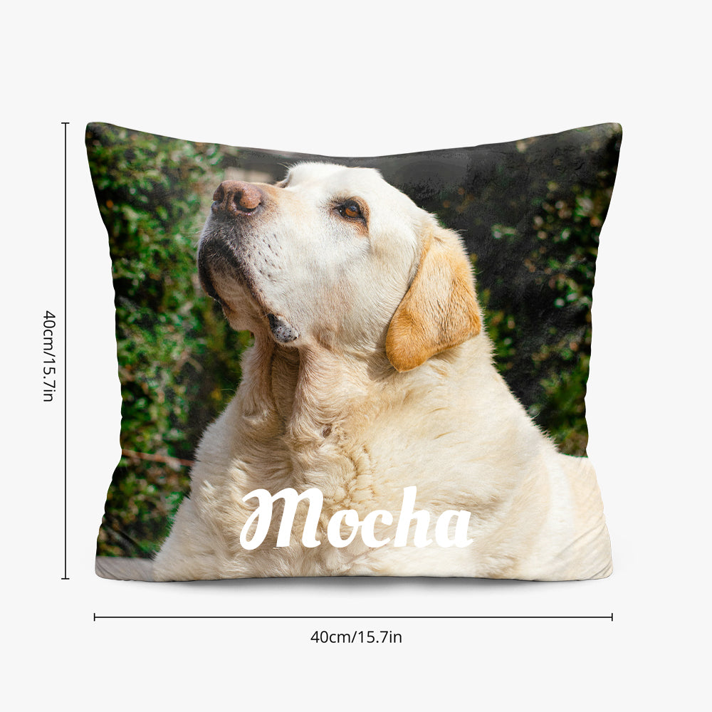 Pet Memorial Pillow with Photo
