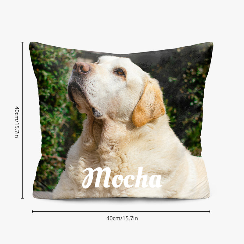 Pet Memorial Pillow with Photo