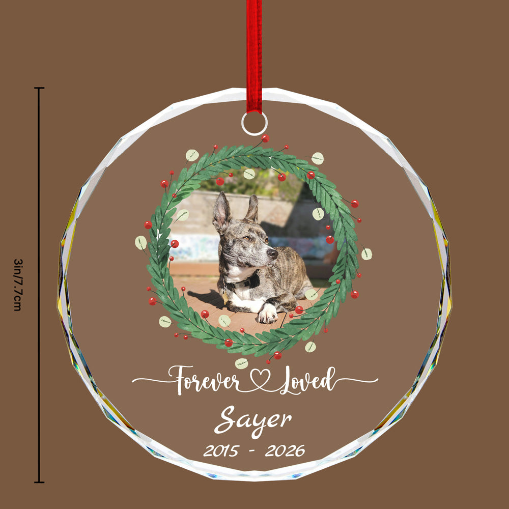 Pet Memorial Round Glass Ornament - Heartfelt Sympathy Gift
