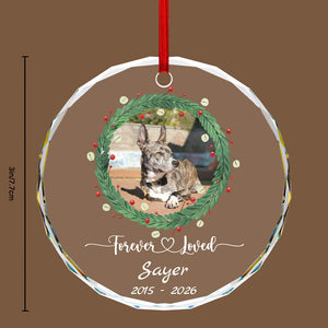 Pet Memorial Round Glass Ornament - Heartfelt Sympathy Gift