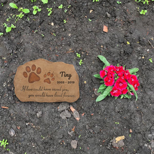 Pet Memorial Stepping Stone