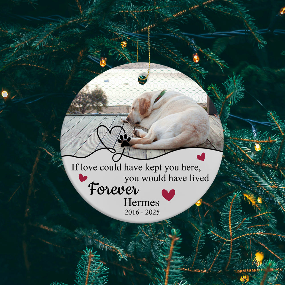 Pet Photo Memory Ornament