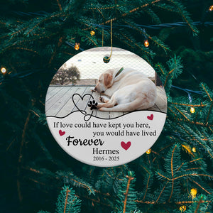 Pet Photo Memory Ornament