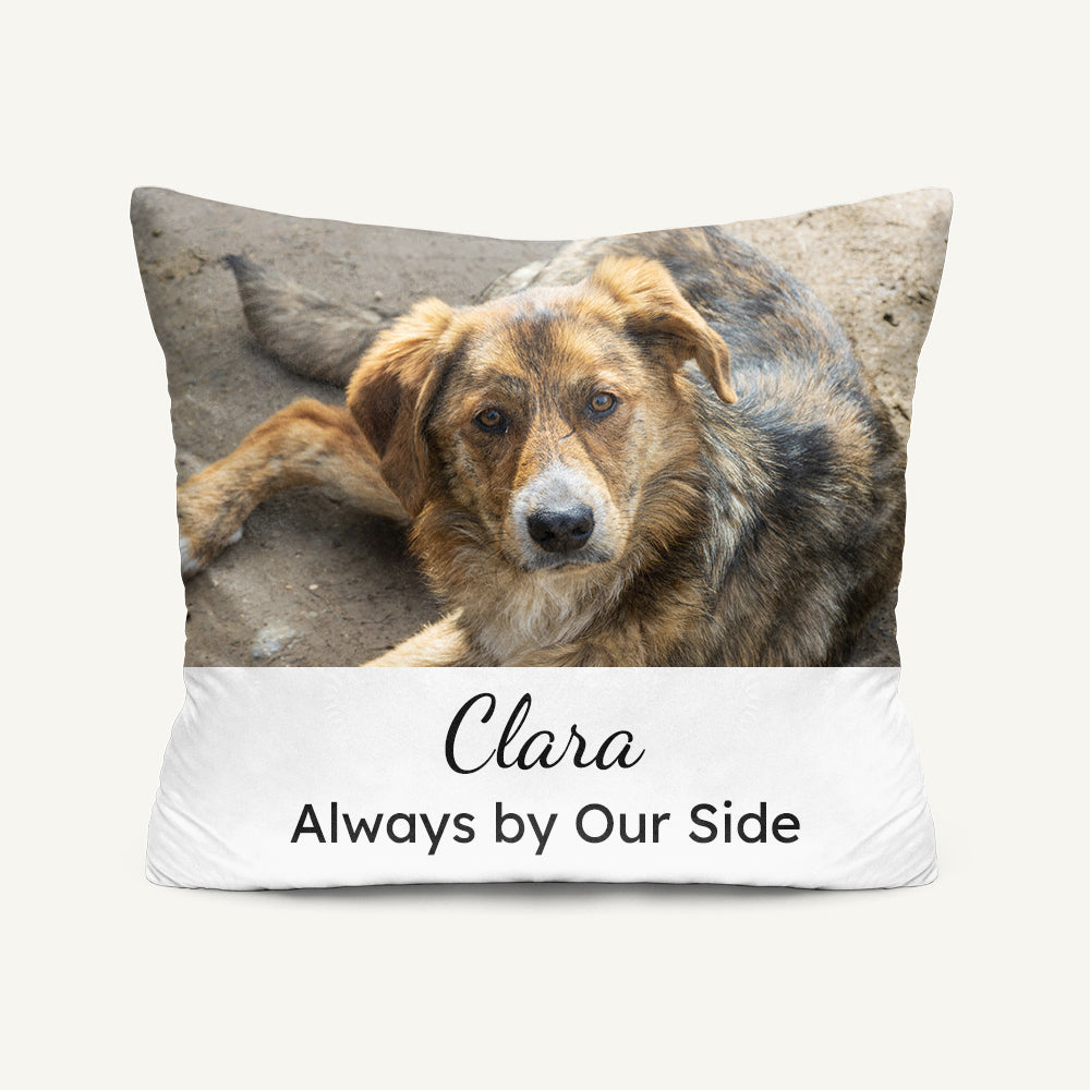 Pet Remembrance Pillow with Photo