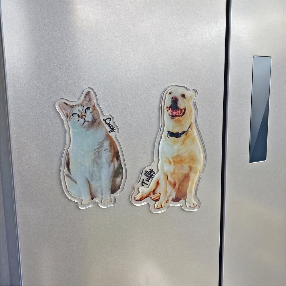 Pet Shaped Photo Magnet with Name