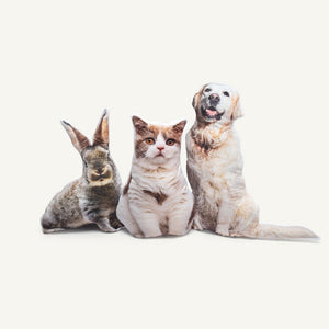 Pet Shaped Photo Pillow