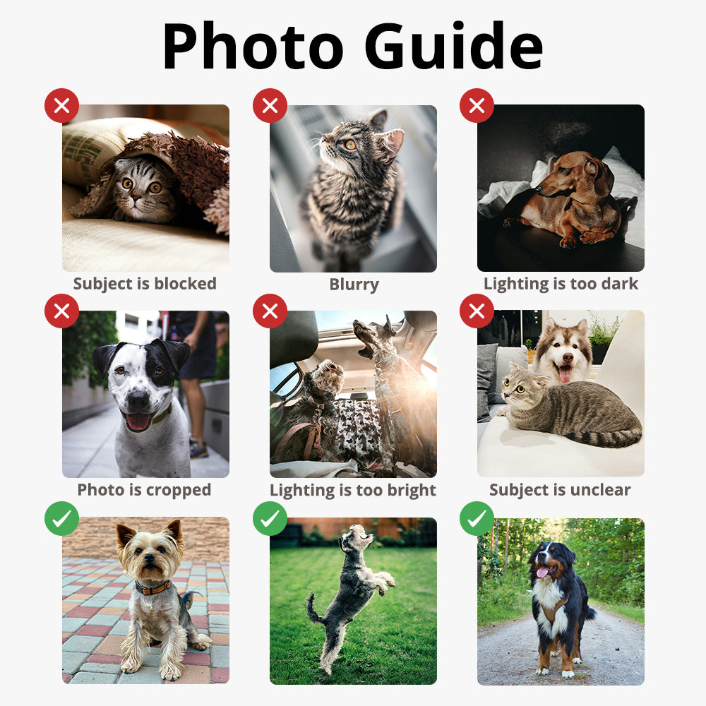 Pet Shaped Photo Pillow