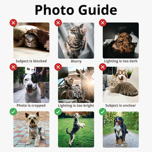 Pet Shaped Photo Pillow