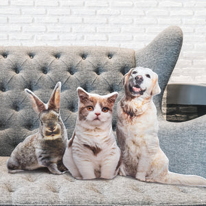 Pet Shaped Photo Pillow