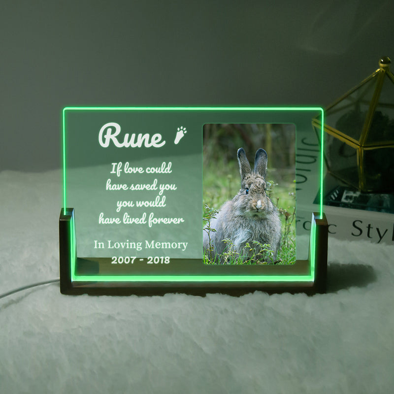 Pet LED Acrylic Plaque with Photo
