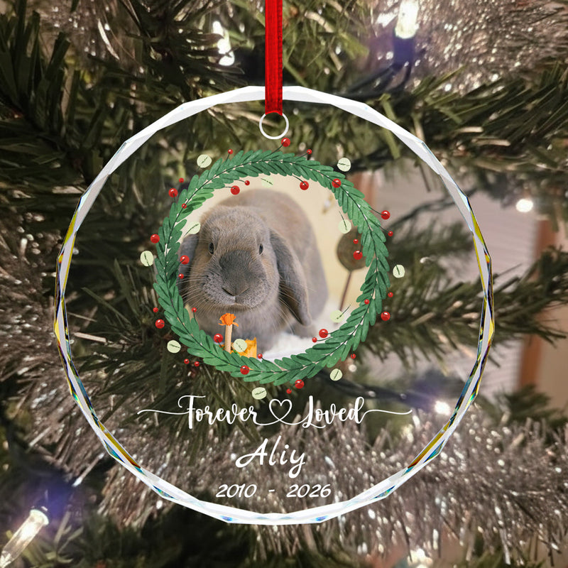 Pet Memorial Round Glass Ornament - Heartfelt Sympathy Gift