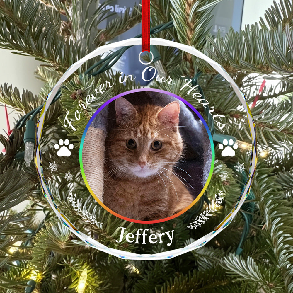 Rainbow Pet Memorial Ornament with Paw Prints - Custom Glass Gift