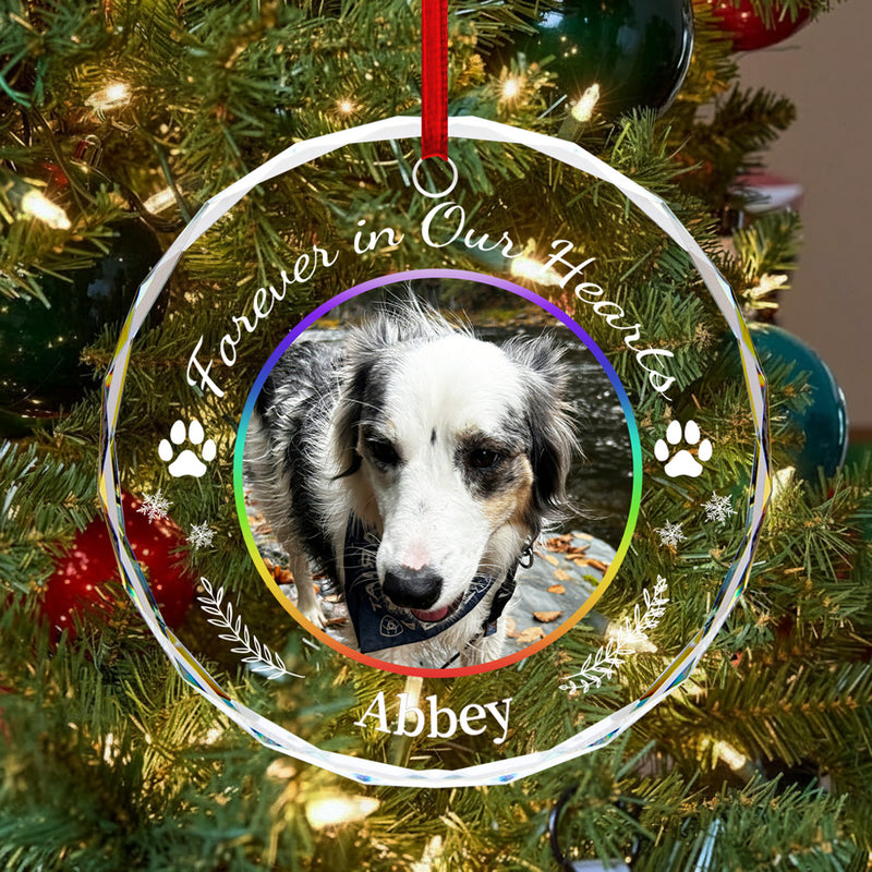 Rainbow Pet Memorial Ornament with Paw Prints - Custom Glass Gift