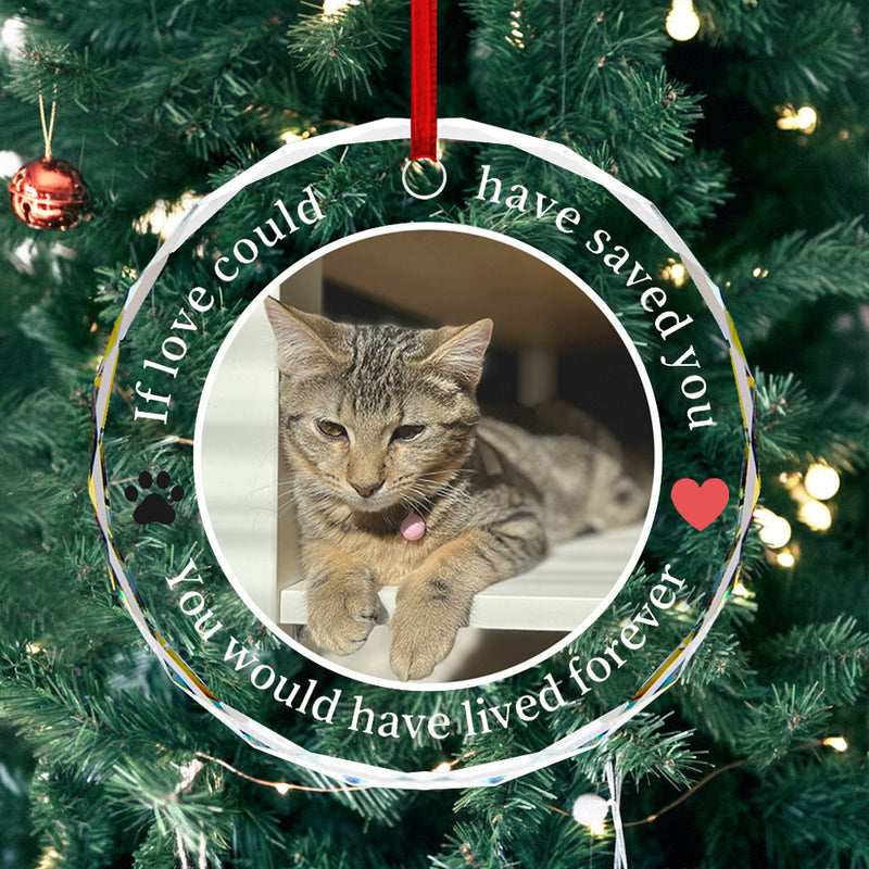Round Glass Pet Memorial Ornament with Photo & “If Love Could” Quote