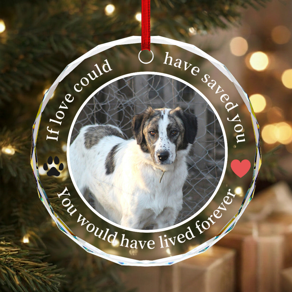 Round Glass Pet Memorial Ornament with Photo & “If Love Could” Quote
